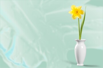 Wall Mural - Fresh beautiful flowers. Pastel minimal scene for products promotion display.