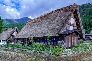 Wall Mural - 白川村