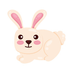 Poster - cute rabbit farm animal