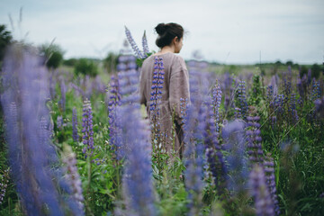 Wall Mural - Lupine flowers on background of blurred woman in rustic dress gathering wildflowers in meadow. Cottagecore aesthetics. Purple lupine flowers in atmospheric summer countryside