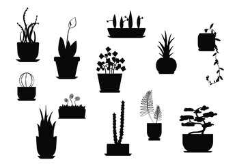 Wall Mural - 12 houseplants illustration silhouette with pots contour shape