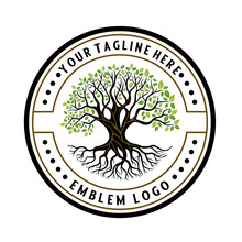 Vector Banyan Emblem Oak Tree Logo Design.