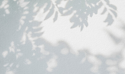 Poster - abstract leaves shadow background, natural leaves tree branch on white concrete wall