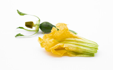 small pumpkin and flower isolated on a white background