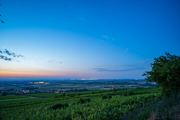  sunrise over the vineyard