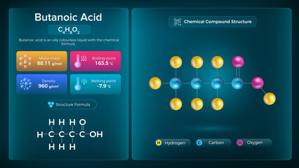 Canvas Print - Butanoic Acid Properties and Chemical Compound Structure -  Vector Design