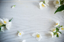 Wooden Background With Blooming White Jasmine And Empty Space