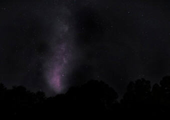 Wall Mural - Night sky over Raeford NC with Milky Way