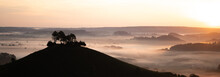 Silhouetted Trees On A Hill Above Mist