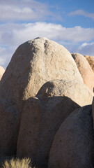 Sticker - Rock formations in the Joshua Tree Desert