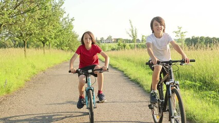 Canvas Print - Cute happy children, brothers, riding bikes in the park on a sunny summer day, talking and laughing