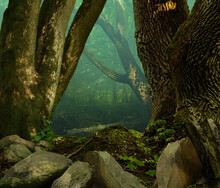 Fairytale Landscape. Old Mossy Trees And Stones In Fantasy Forest With Blue Haze On Background