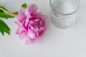 Sticker - high angle view of fresh pink peony and faceted glass with pure water on white surface.