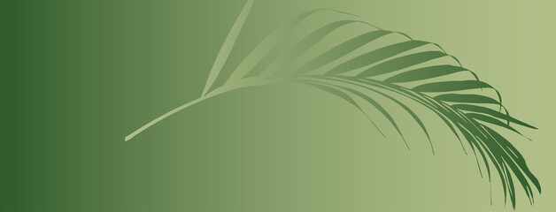 Wall Mural - Abstract organic palm leaf header or banner background with space for text isolated on green gradient background
