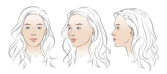 Wall Mural - Vector woman face. Set of three different angles. Different view front, profile, three-quarter of a girl face.