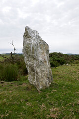 Wall Mural - Nine Maidens stone row Cornwall all the stones are of quartz the north-eastern stone is prostrate and broken it measures 15 feet in length the tallest of those still standing is 6 feet 7 inches high 
