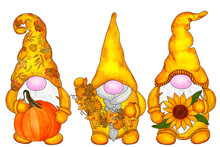 Three Autumn Fairy Gnomes