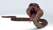 Cobra snake open mouth to fighting on white clean floor with 3d rendering.