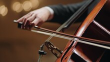 Closeup View Of Violoncello And Hands Of Musician, Cellist Is Playing Cello In Symphonic Orchestra
