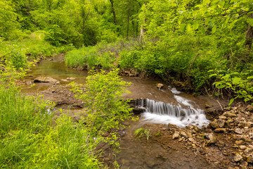 Wall Mural - A Creek With Mini Waterfall