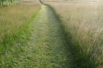 Sticker - Grass Path in a Field