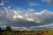 © yrafoto - The sky above the city with clouds of different tiers. Cumulus, rain, cirrus and wavy clouds.