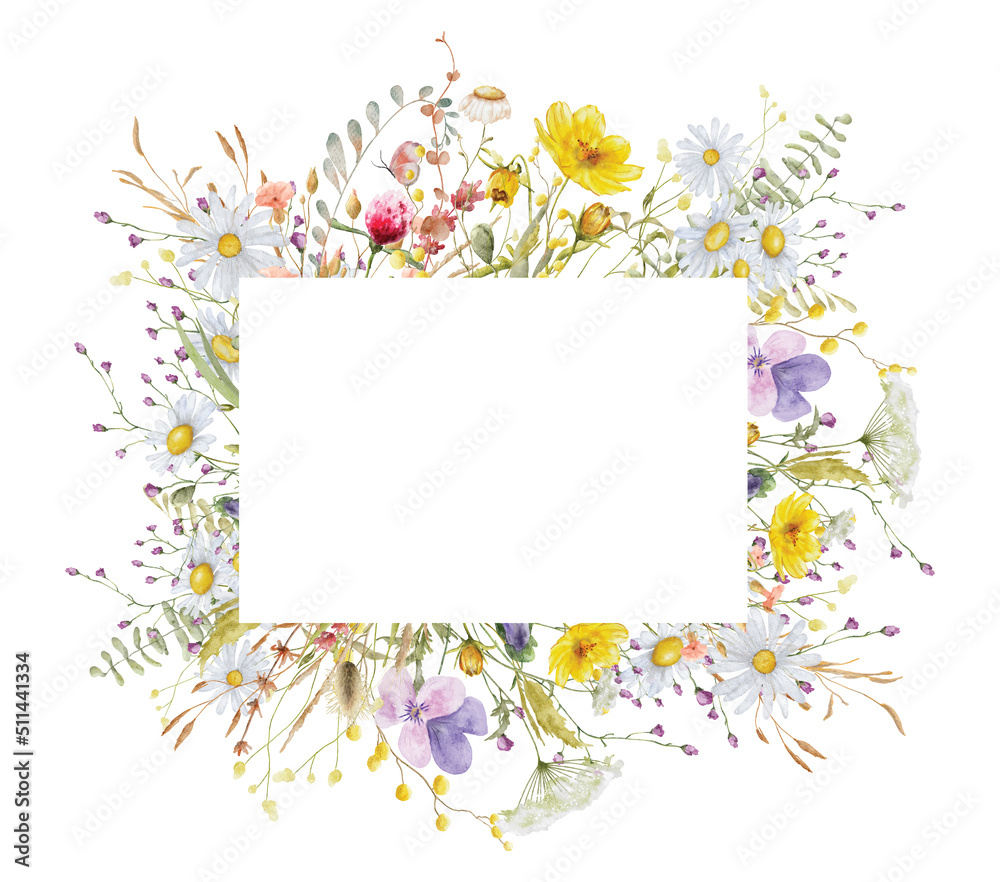 Wild flowers watercolor frame botanical hand drawn illustration Stock ...