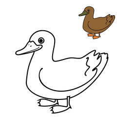 Poster - Coloring page with cartoon duck isolated on white background