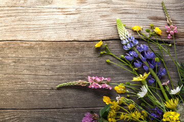 Wall Mural - Wild flowers on old grunge wooden background (chamomile lupine dandelions thyme mint bells rape)