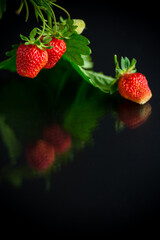 Wall Mural - Ripe juicy red strawberry on black background