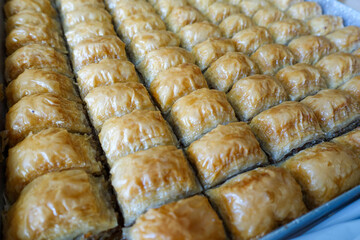 Wall Mural - Famous Turkish baklava dessert sliced in a baking tray, Gaziantep baklava,