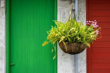 Sticker - Potted flower hanging at outdoor