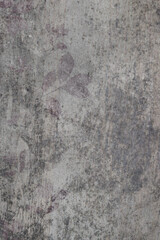 Wall Mural - fossil pattern stone wall background