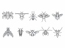 Insect Line Art Icon Collection 