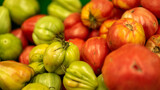 Fototapeta Kuchnia - tomates