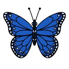 Cartoon Blue Monarch Butterfly On White Background 