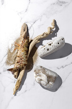 Shrimp And Driftwood On Marble Table