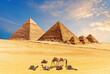 Pyramids of Giza in the desert of Egypt and amel caravan resting nearby