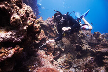Lets See What Lives In That Hole. Young Man Scuba Diving Over A Beautiful Reef.