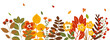autumn flowers, bouquet in flat design, isolated vector