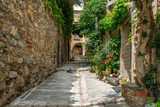 Fototapeta Uliczki - A domestic cat lounges in a narrow alley in the charming medieval village of Grimaud, France, in the Provence Cote d'Azur.