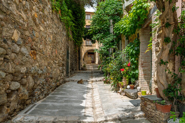  A domestic cat lounges in a narrow alley in the charming medieval village of Grimaud, France, in the Provence Cote d'Azur.