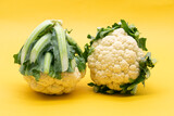 Fototapeta  - fresh Cauliflower isolated on yellow background, vegetable concept , top view