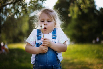 Pretty little girl blowing off dandelion seeds on sunset in summer park. Image with selective focus