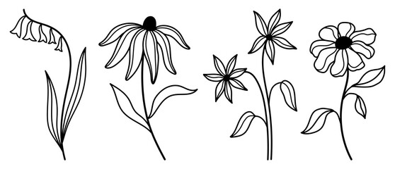 Wall Mural - Line art field flowers vector clipart. Outline wildflowers illustrations in tattoo style