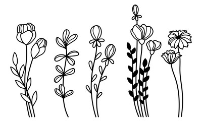 Wall Mural - Wildflowers outline vector illustrations set. Hand drawn line art field flowers clipart in tattoo style