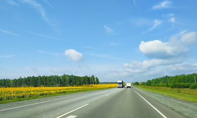 A two-lane asphalt highway between a yellow sunflower and a green forest on which a white truck and other cars drive against a blue sky