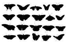 Set Of Silhouettes Of Butterflies