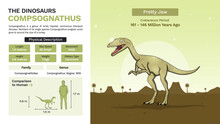 Description And Physical Characteristics Of Compsognathus-Vector Illustrations