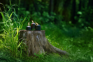 Magic black candles on tree trunk in forest, green blurred natural background. candle for Wiccan practice, Litha sabbat. Witchcraft, esoteric spiritual ritual, divination. mysterious fairy scene